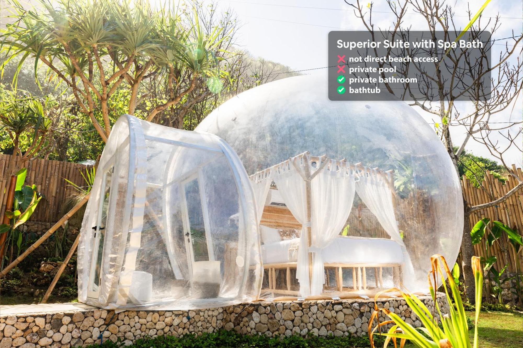 Tente de luxe Bubble Nyang Nyang - Adults Only *